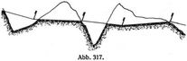 Abb. 317.